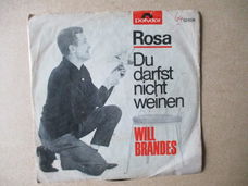 s1167 will brandes - rosa