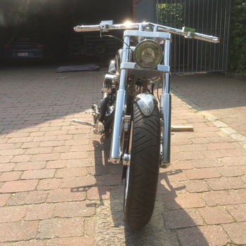 Cobra H-D echt een eigenbouw, (geen verbouwing) - 1