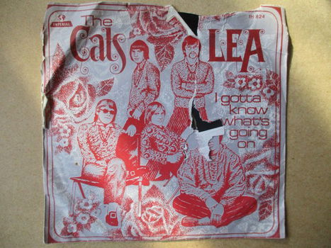 s1244 the cats - lea - 0