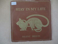 s1248 cats - stay in my life