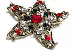 Mooie stervormige strass broche