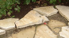 flagstone Geel