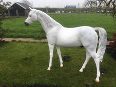 paard schimmel en kunstpaarden