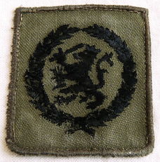 Embleem Vaardigheid, Borst, GVT, Individueel Bekwaamheid, Koninklijke Landmacht, jaren'90.(Nr.1)