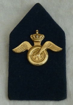 Kraagspiegel / Embleem DT63, Regiment Aan- en Afvoer Troepen, 3e model, KL.(Nr.3) - 1