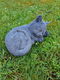 tuinbeeld , lieve slapende poes , kado - 1 - Thumbnail