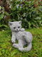 tuinbeeld, poes , kat , kado - 2 - Thumbnail