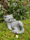 tuinbeeld, poes , kat , kado - 3 - Thumbnail