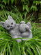 poes , tuinbeeld , kado - 0 - Thumbnail