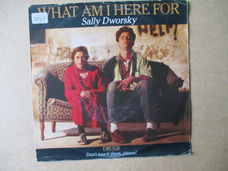 s1677 sally dworsky - what am i here for