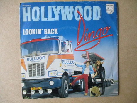 s1727 dingo - hollywood - 0