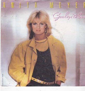 Single Anita Meyer - Goodbye to love - 0