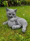 tuinbeeld , poes , kat , - 0 - Thumbnail