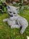 tuinbeeld , poes , kat , - 7 - Thumbnail