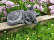 poes , tuinbeeld , bianca - 2 - Thumbnail