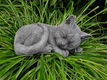 poes , tuinbeeld , bianca - 4 - Thumbnail