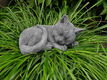 poes , tuinbeeld , bianca - 6 - Thumbnail