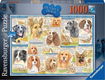 Ravensburger Puzzel Dutiful Dogs/Trouwe honden - Legpuzzel - 1000 stukjes - 0 - Thumbnail