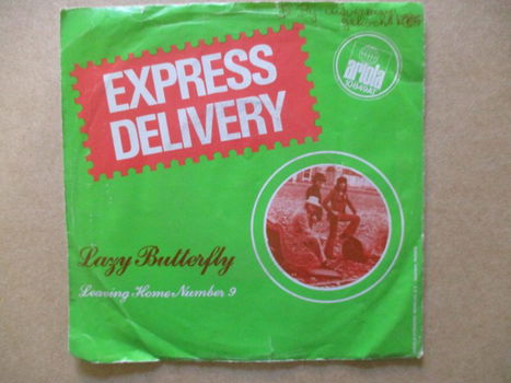 s1945 express delivery - lazy butterfly - 0