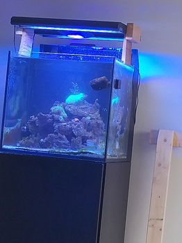 170 liter redsea zeeaquarium - 3