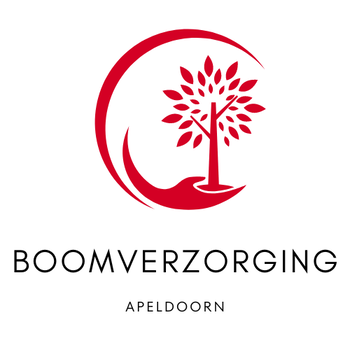 Boomverzorging Apeldoorn - 0