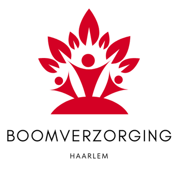 Boomverzorging Haarlem - 0