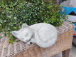 vensterbank beeld , poes , kat ,tuinbeeld - 0 - Thumbnail