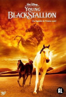 Young Black Stallion (DVD) Walt Disney