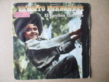 s2070 pedrito fernandez - el gavilan colorado - 0