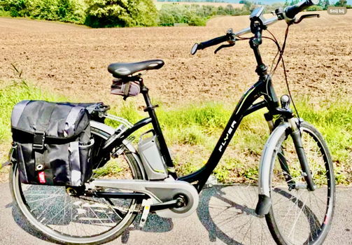 Partij Elektrische Flyer Fietsen plus Van Raam Balance Lage Instap Fiets - 1