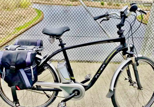 Partij Elektrische Flyer Fietsen plus Van Raam Balance Lage Instap Fiets - 2