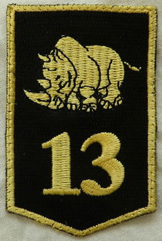 Embleem, Mouw, DT2000, 13 Gemechaniseerde Brigade, KL, vanaf 2000.(Nr.7) - 0