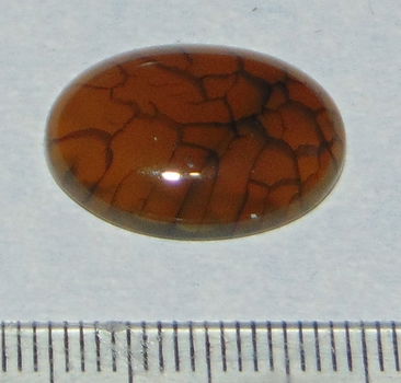 Dragon Vein Agaat cabochon CDW - 20x14mm - 0