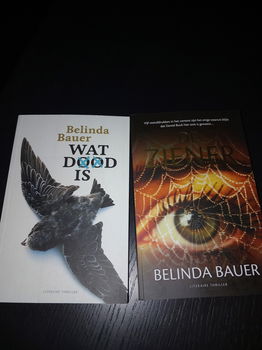 De ziener + Wat dood is - Belinda Bauer - 0