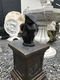 sculptuur van een poes, kat - 2 - Thumbnail