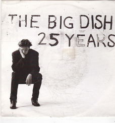 Single The Big Dish - 25 Years