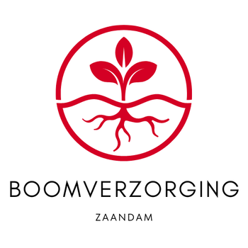 Boomverzorging Zaandam - 0