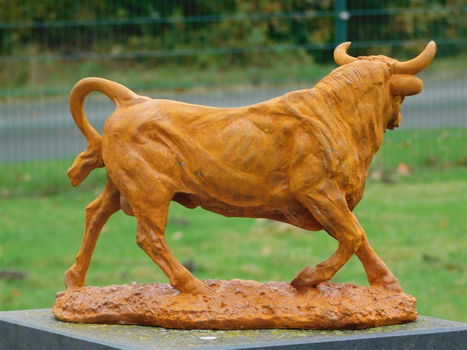 stier , gietijzer - 4