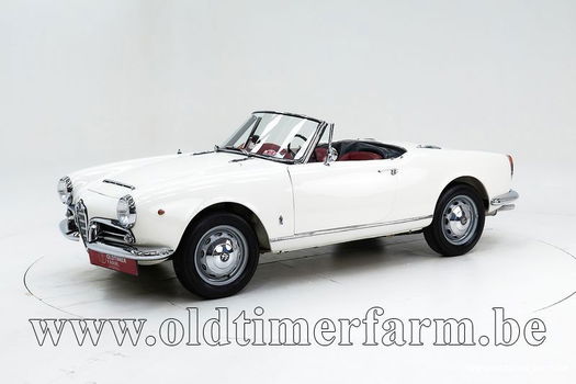 Alfa Romeo 1600 Giulia Spider '65 CH6255 - 0