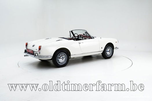 Alfa Romeo 1600 Giulia Spider '65 CH6255 - 1