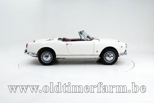 Alfa Romeo 1600 Giulia Spider '65 CH6255 - 2