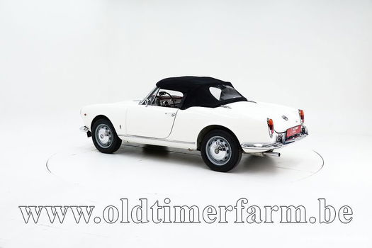 Alfa Romeo 1600 Giulia Spider '65 CH6255 - 7