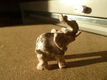 olifant van steatiet - 0 - Thumbnail