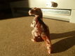 Tyrannosaurus Rex (T-rex) van steatiet - 3 - Thumbnail