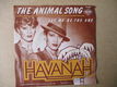 s2456 havannah - the animal song - 0 - Thumbnail