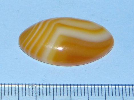 Oranje Agaat cabochon COA - 28x15mm - 0