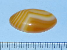 Oranje Agaat cabochon COA - 28x15mm