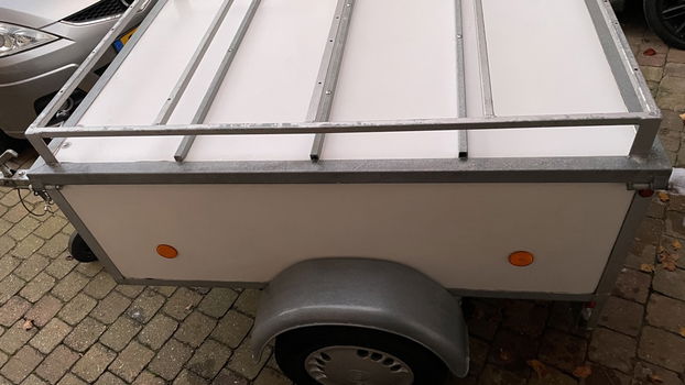 Nette Rieske Bagagewagen - 6