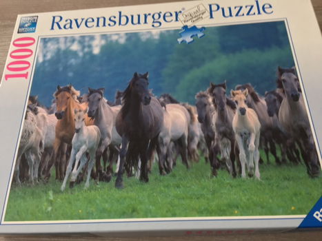 RAVENSBURGER puzzel: 1000 stukjes (3 dozen) - 3