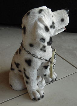 Beeldje van hond (Dalmatiër) met halsbordje (hoogte: 24 cm). - 1